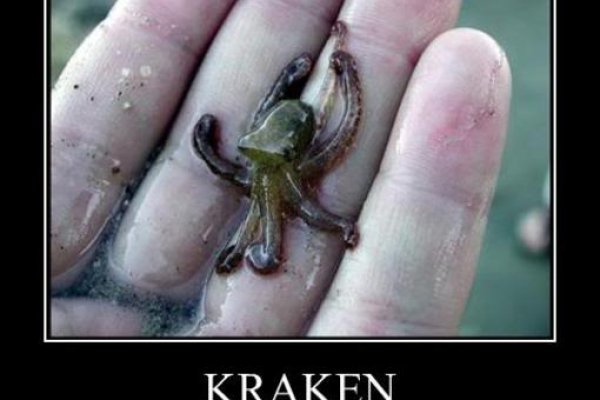 Kraken istand onion