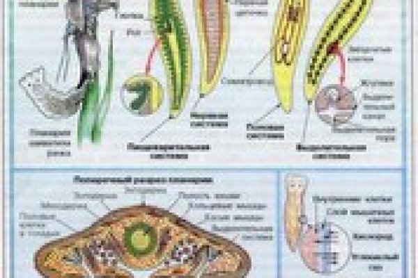 Как написать администрации даркнета кракен